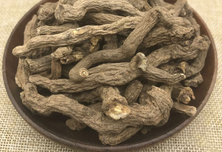 奶浆参的功效与作用