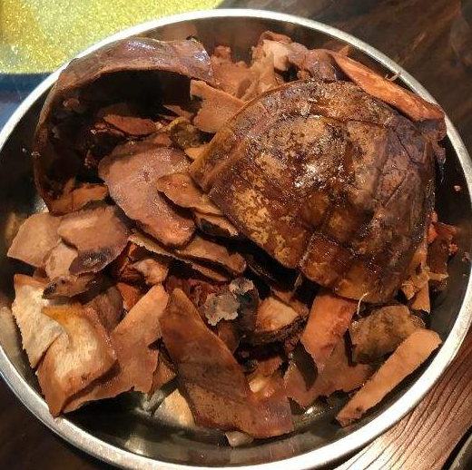 中药养生食材有哪些