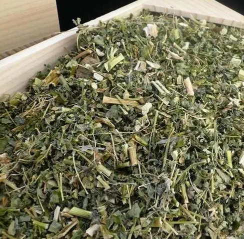 黄芪叶的功效与作用有哪些