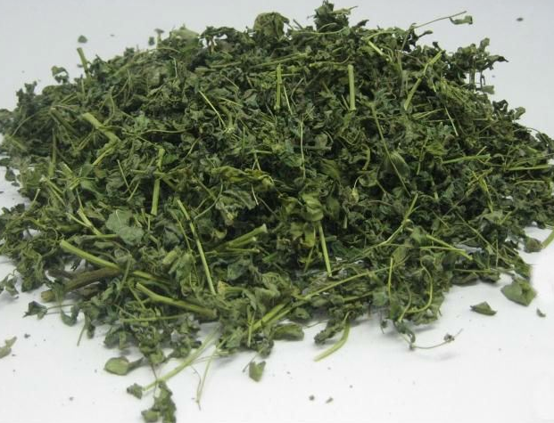 黄芪叶的功效有哪些