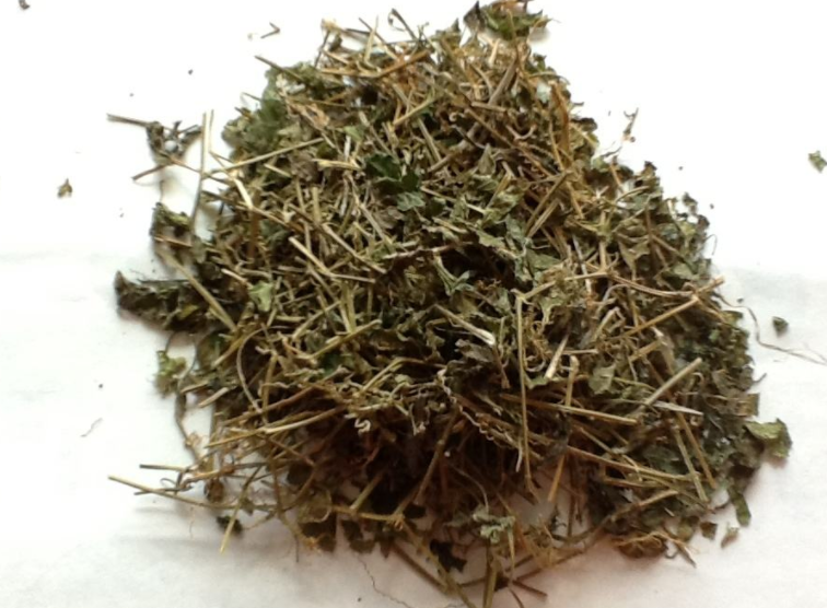 喝绞股蓝茶的禁忌及副作用