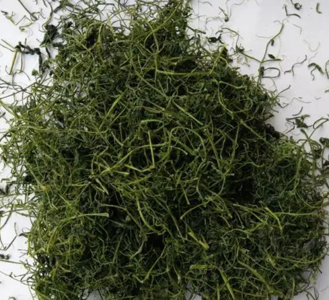 绞股蓝晒干泡水喝要注意什么