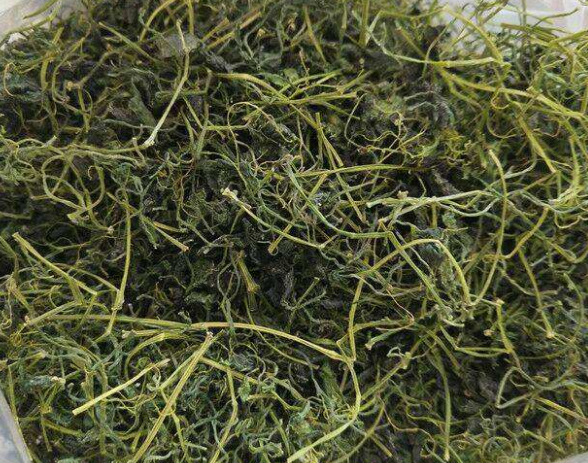 头晕可以用绞股蓝泡水喝吗