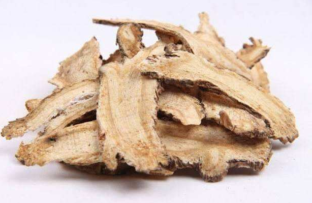 当归和红枣泡水喝的好处