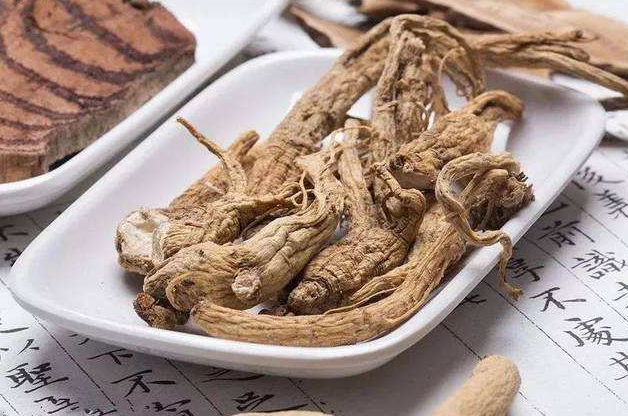 当归的药用价值有哪些