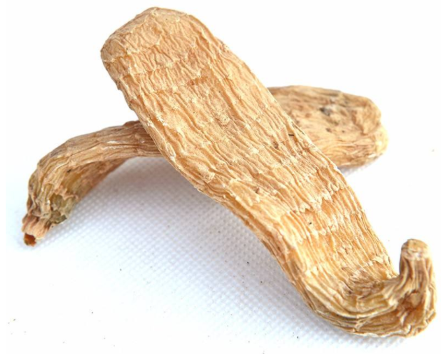 天麻营养价值有哪些