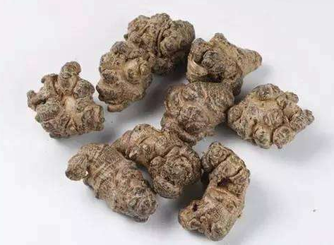 土三七的功效与作用有哪些