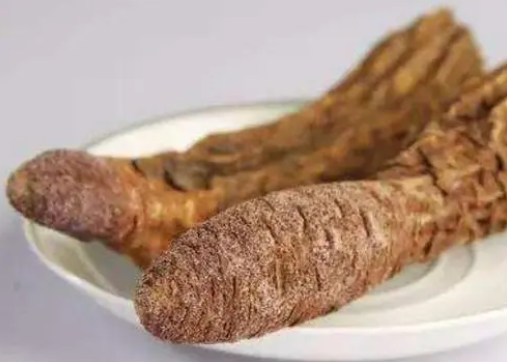 干锁阳真的能泡水喝吗？