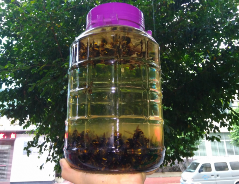 什么中药泡酒补肾壮阳效果好呢