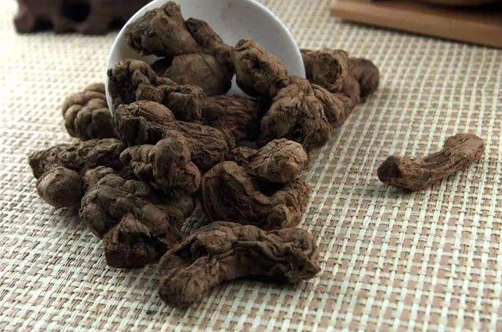 什么是补肾的中药呢