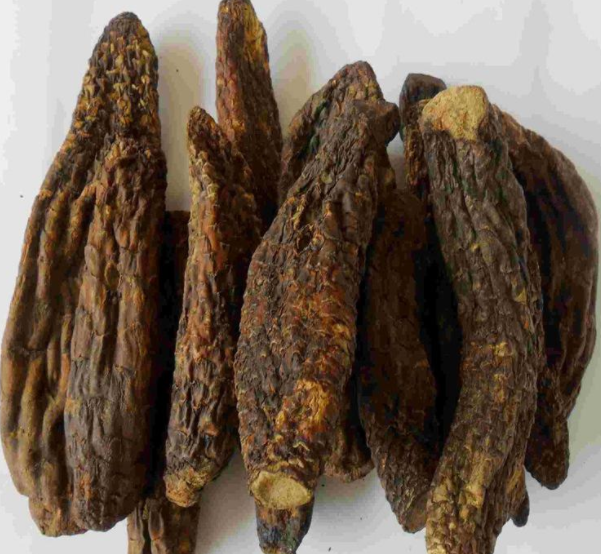 如何挑选肉苁蓉呢