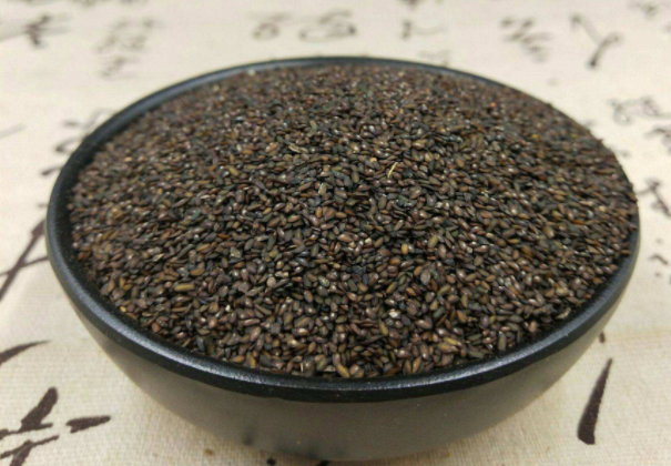 车前子泡水喝的功效