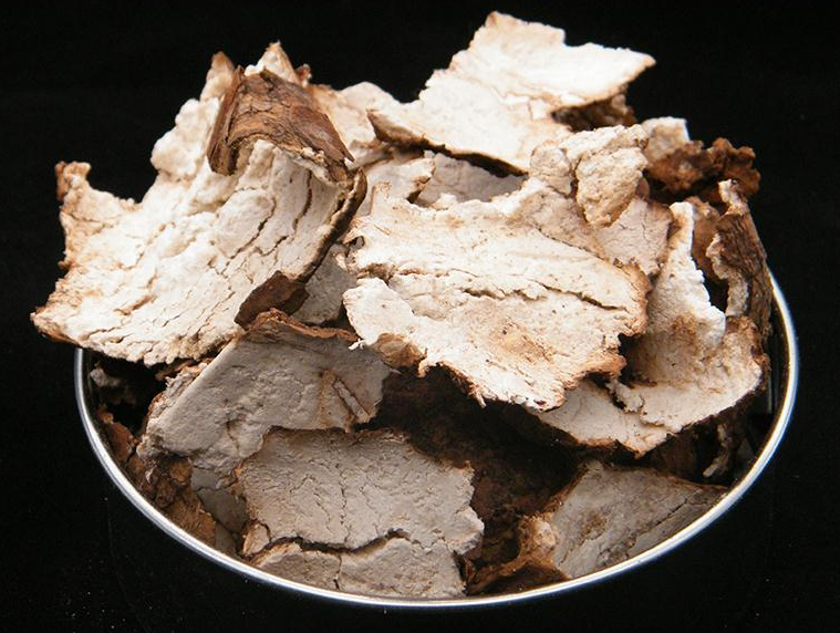 茯苓皮功效与作用有哪些