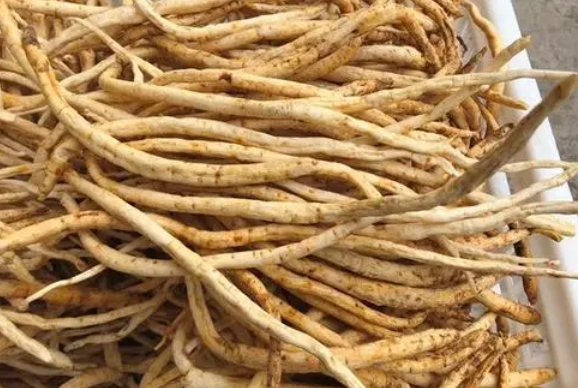 生活中常用的清热解毒中草药有哪些？