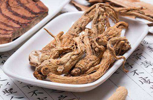 如何选黄芪呢