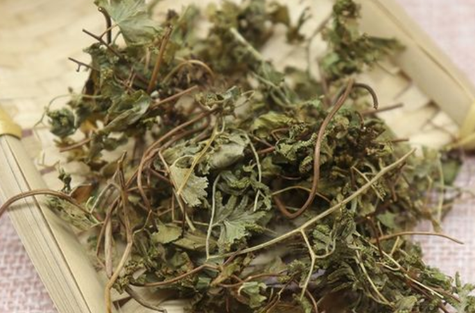 天仙草功效是什么