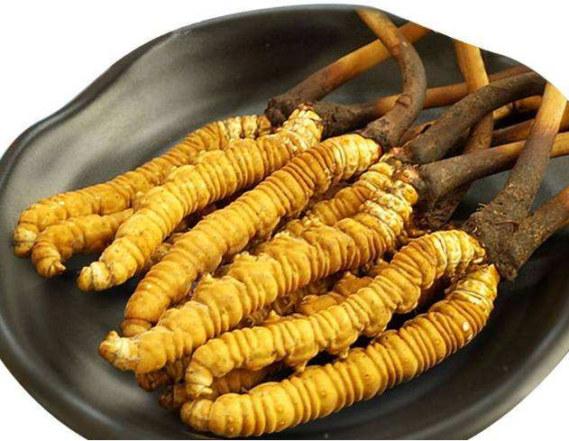 冬虫夏草不能和什么一起吃呢