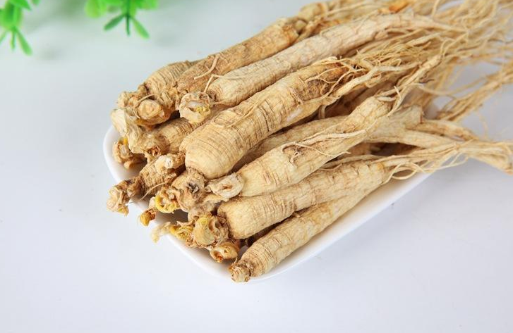 移山参药用价值有什么