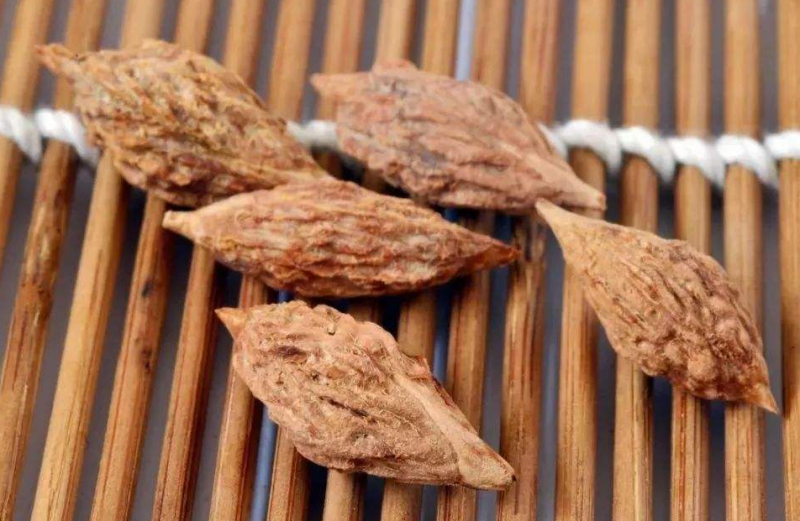 红枣核药用价值是什么