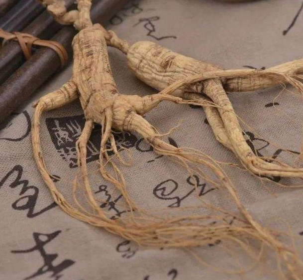西洋参泡水方法有哪些