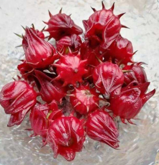 洛神花泡水效果好吗