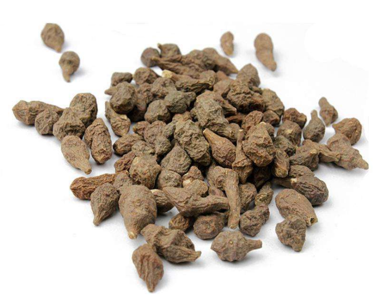 蕨麻的药用价值有哪些呢