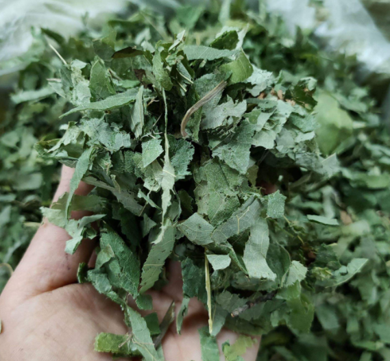 淫羊藿药用价值有哪些