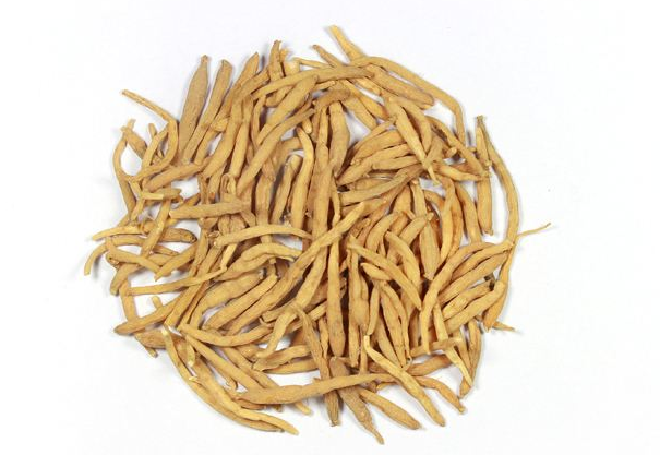 太子参的药用价值有哪些