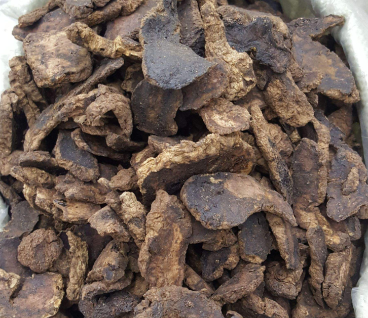 熟地黄的药用价值有哪些