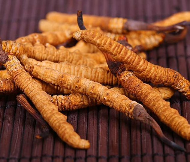 小孩怎么吃冬虫夏草呢