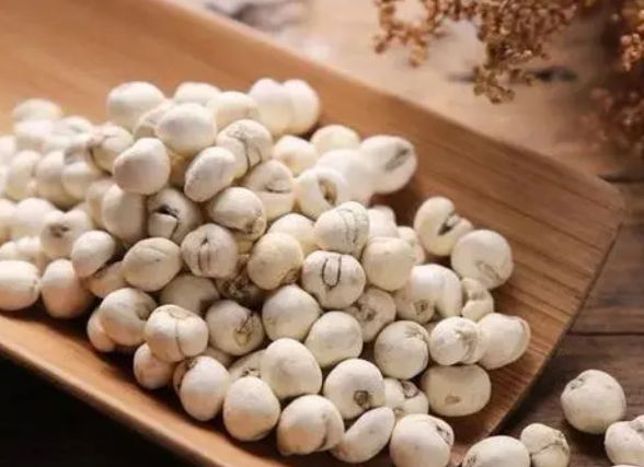 浙贝母的药用价值是什么