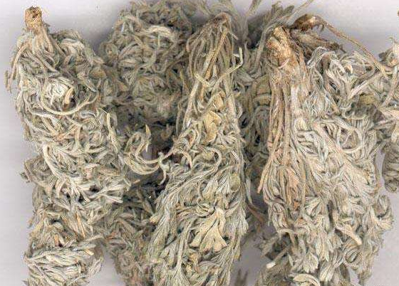 茵陈的药用价值是什么
