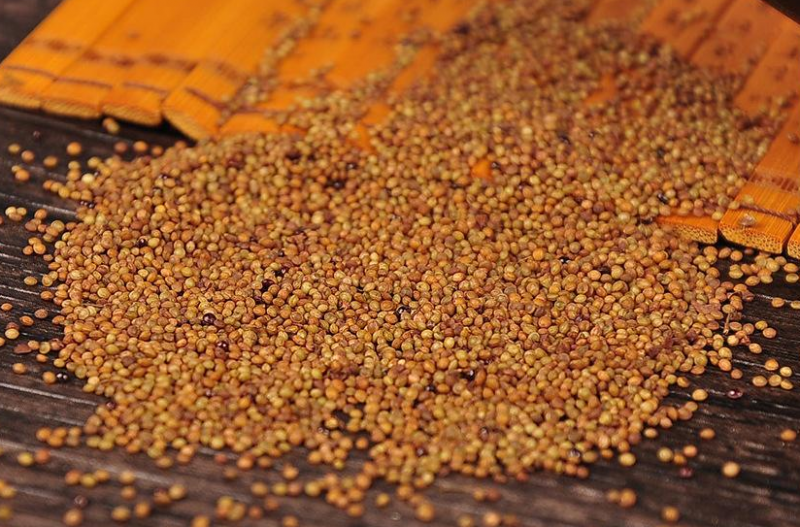 菟丝子枸杞子茶怎么做
