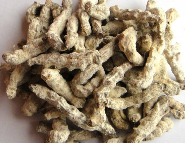 僵蚕药用价值有哪些功效呢