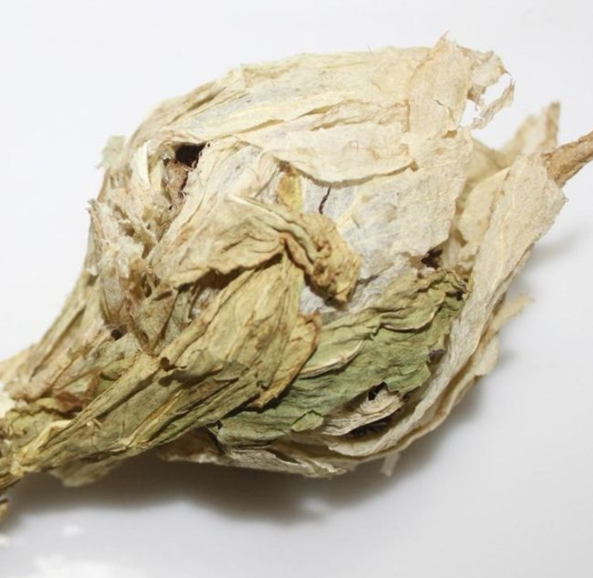 干雪莲花的样子是什么呢