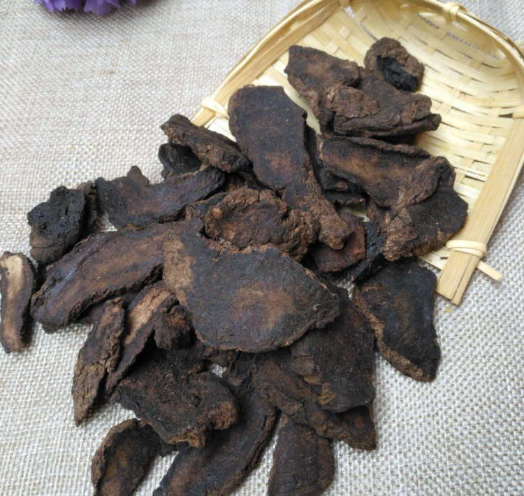 生地黄的禁忌有哪些