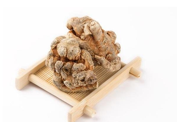 三七的药用价值有哪些