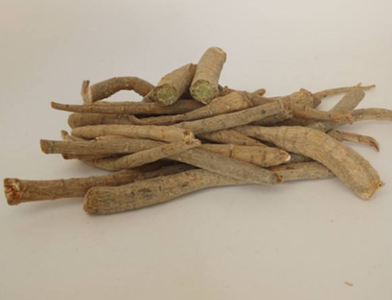三七根的药用价值有哪些