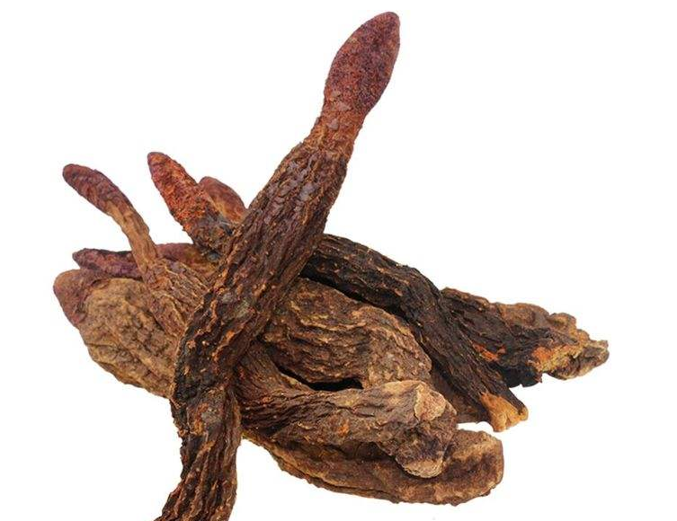 肉苁蓉鉴别方法