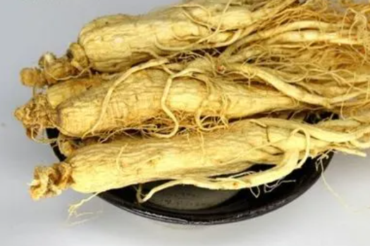 人工人参药用价值有哪些