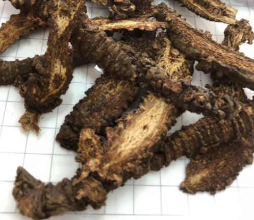 羌活药用价值有哪些