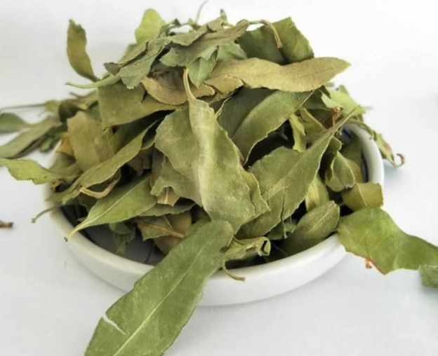 中药罗布麻叶作用有哪些