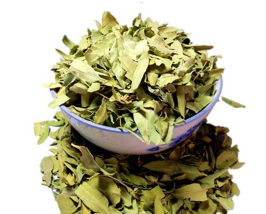 罗布麻的药用功效是什么