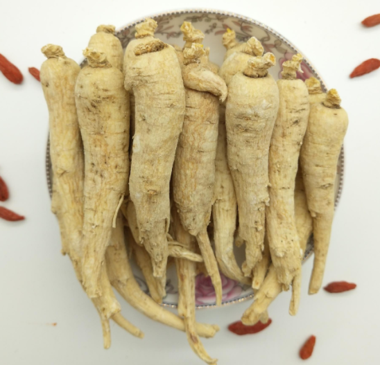 西洋参的喝法有哪些