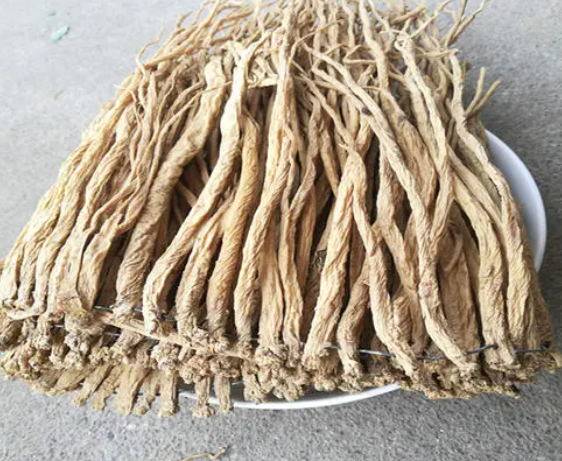 当参药用价值有哪些