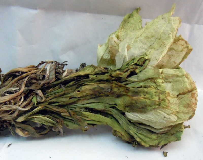 雪莲花的用处是什么
