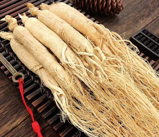 白人参的药用价值是什么