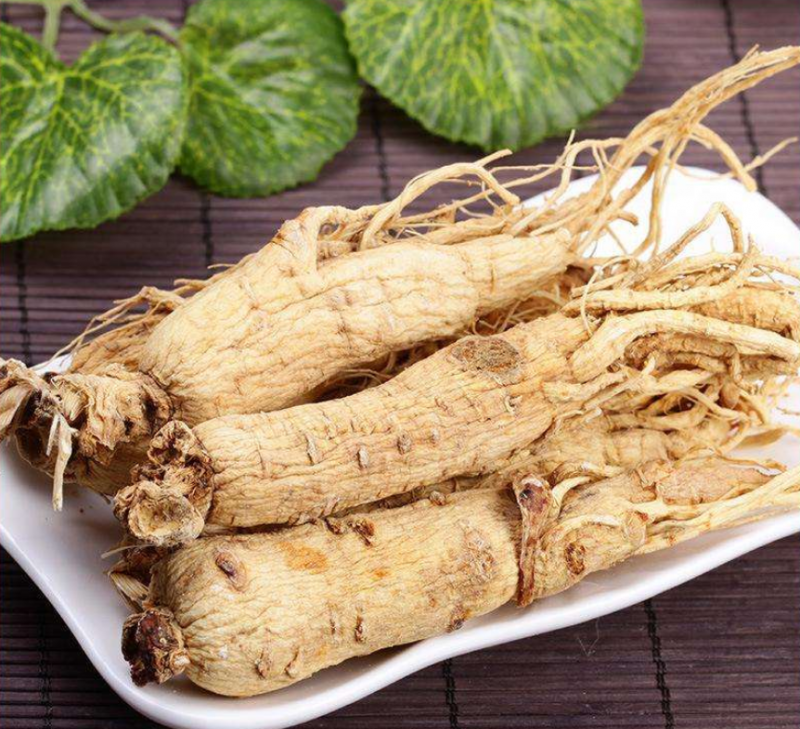 白参的药用价值有哪些