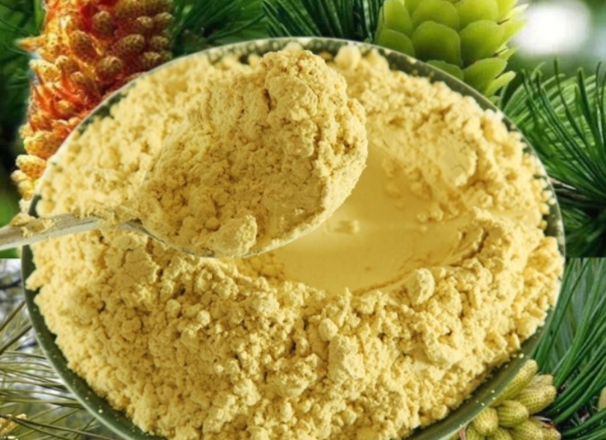 野生松花粉食用过程有哪些注意事项