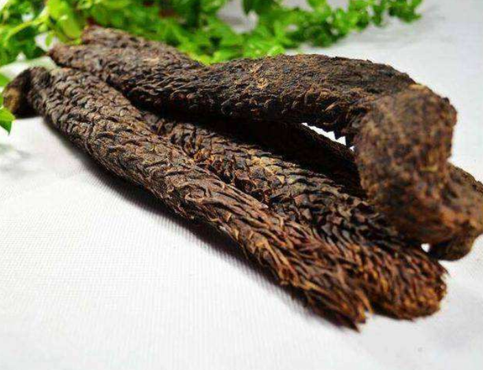 哪种肉苁蓉好呢